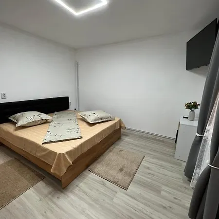 Casa Sofia 홈스테이 Două Mai